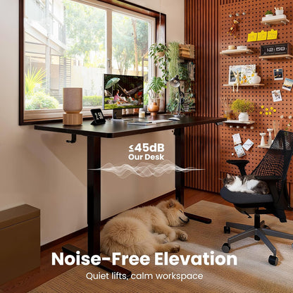 Height Adjustable Electric Standing Desk, 47.2 X 23.6 Inches Sit Stand up Desk, Memory Computer Home Office Desk (Black)